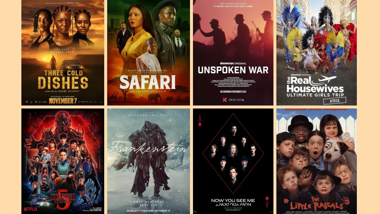 New in Nigeria: Movies and TV Shows to Watch this November 2025 - What ...